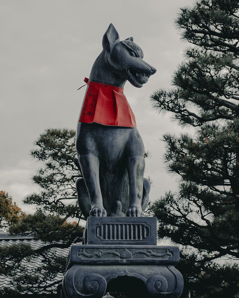arbre, planta, monument, abies, avet, kyoto, campanar, torre, arquitectura, fletxa, edifici, art, escultura, mamífer, caní, mascota, animal, conífera, arbres, parc, representació, art i artesania, estàtua, cap gent, cel, naturalesa, representació humana, dia, vista d’angle baix, creativitat, animals domèstics, un animal, semblança masculina, 2K
