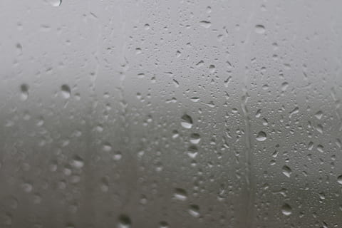 regenval, venster., niederlande, Den Haag, druppels, regen, laten vallen, nat, water, volledig kader, achtergronden, glas - materiaal, detailopname, transparant, venster, regendruppel, geen mensen, natuur, selectieve aandacht, binnenshuis, regenseizoen, dag, puurheid, dauw, 4K, CC0, publiek domein, royaltyvrij