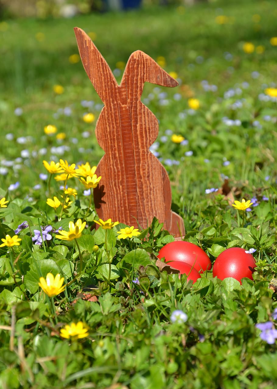 Pasqua, llebre, conill de Pasqua, primavera, herba, naturalesa, ou, tema de pasqua, ous de Pasqua, flors silvestres, prat de flors silvestres, conill de fusta, vermell, groc, verd, florir, fusta vella, colorit, orelles de conill, planta, flor, planta amb flors, frescor, creixement, camp, terra, cap gent, dia, color verd, primer pla, menjar, bellesa a la natura, art i artesania, a l'aire lliure, fragilitat, creativitat, 4K