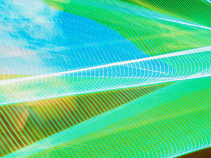 grafica, arte, modello, luce, ornamento, frattale, cristallo, vene, verde, illuminazione, viola, neon, corridoio, struttura, laser, silhouette, elettronica, schermo, alzavola, spirale, astratto, fotogramma intero, colore verde, nessuno, sfondi, strutturato, tecnologia, blu, multicolore, girato in studio, luce - fenomeno naturale, foglia, natura, avvicinamento, parte vegetale, sfondi astratti, bellezza nella natura, connessione, acqua, composito digitale, complessità, fluente, effetto strutturato, 4K, CC0, dominio pubblico, privo di copyright