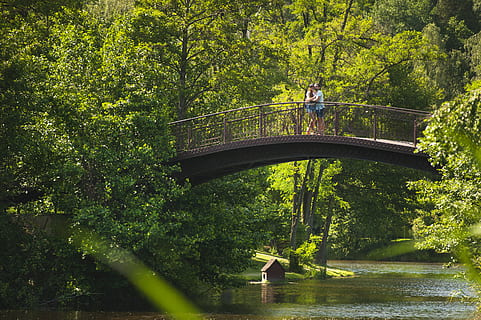 foto, coppia, abbracciare, ponte, fiume, luce del giorno, ambiente, foresta, idilliaco, paesaggio, uomo, natura, Parco Naturale, parco, persone, ricreazione, scenario, panoramico, dolcezza, insieme, solidarieta, tranquillo, alberi, acqua, donna, boschi, giovane coppia, albero, pianta, ponte - struttura fatta dall'uomo, connessione, una persona, persone reali, attività di svago, giorno, colore verde, crescita, uomini, passerella, mezzi di trasporto, all'aperto, arco, 4K, CC0, dominio pubblico, privo di copyright