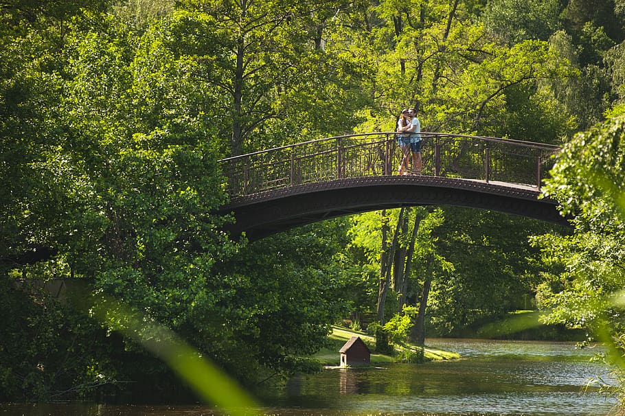 foto, parella, abraçada, pont, riu, la llum del dia, medi ambient, bosc, idíl·lic, paisatge, home, naturalesa, parc natural, parc, gent, recreació, escènic, dolçor, junts, unió, tranquil, arbres, aigua, dona, boscos, parella jove, arbre, planta, pont - estructura feta per l'home, connexió, una persona, persones reals, activitat d'oci, dia, color verd, creixement, homes, passarel·la, transport, a l'aire lliure, arc, 4K