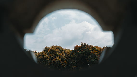 balık gözü fotoğrafçılık, ağaçlar, beyaz, bulutlar, bulanıklık, parlak, bulutlu gökyüzü, şafak, gün ışığı, peyzaj, ışık, doğa, gökyüzü, gün batımı, bulut - gökyüzü, ağaç, bitki, sonbahar, değişiklik, gün, doğada güzellik, insansız, mimari, daire, geometrik şekil, pencere, açık havada, seçici odak, büyüme, manzaralar - doğa, şekil, arka plan üzerinde odaklanmak, 5K, CC0, kamu malı, telif ücretsiz