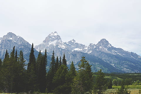 дървета, гора, планини, мътен, скалисти планини, Tetons, планина, дърво, растение, красота в природата, небе, природа, пейзаж, сценична природа - природа, заобикаляща среда, без хора, извънградска сцена, спокойствие, спокойна сцена, земя, ден, растеж, зелен цвят, на открито, планински връх, планина със сняг, иглолистни дървета, образуване, Високо, диапазон, 5K, CC0, обществено достояние, роялти безплатно