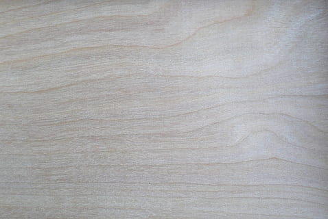 textil blanco, fondo, pino, textura, madera, antecedentes, texturizado, fotograma completo, modelo, nadie, de cerca, material, material de madera, grano de madera, patrón natural, primer plano extremo, gris, áspero, piso, vacío, árbol, blanco, tablón, naturaleza, limpiar, efecto texturizado, nivel de la superficie, 2K, CC0, dominio público, libre de derechos