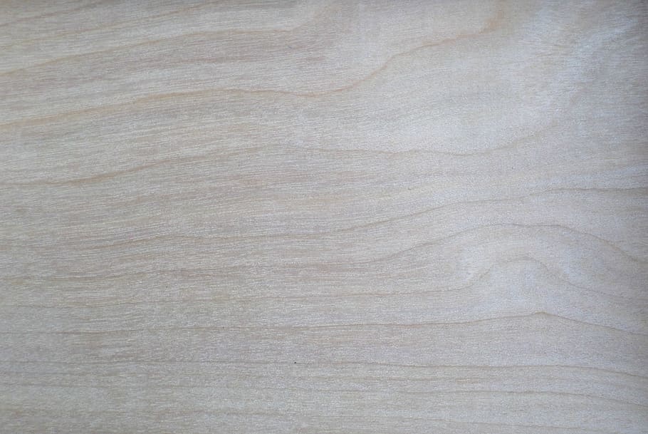 hvidt tekstil, baggrund, fyrretræ, struktur, træ, baggrunde, tekstureret, fuld ramme, mønster, ingen mennesker, tæt på, materiale, træ - materiale, trækorn, naturligt mønster, ekstrem nærbillede, grå, ru, gulve, tom, blank, planke, natur, ren, tekstureret effekt, overflade niveau, 2K