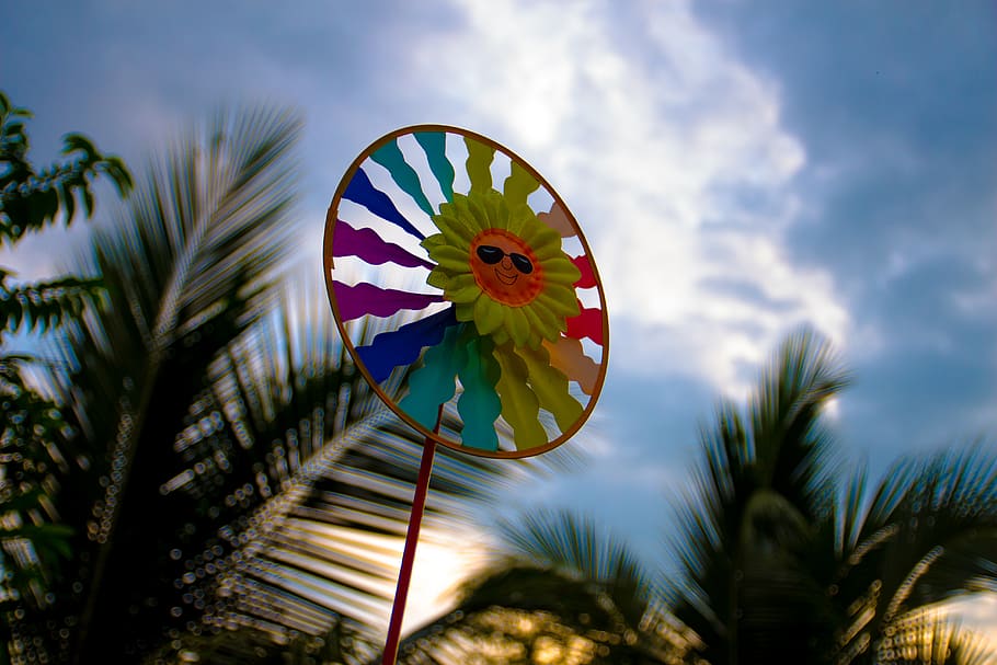 somma, albero, alberi, lago, piace, rosso, bule, somme, cielo, Palma, nuvola - cielo, pianta, Inquadratura dal basso, clima tropicale, natura, giorno, nessuno, multicolore, giocattolo a girandola, all'aperto, giocattolo, bellezza nella natura, avvicinamento, creatività, ambiente, forma, concentrarsi sulle conoscenze acquisite, motivo floreale, farfalla - insetto, 5K