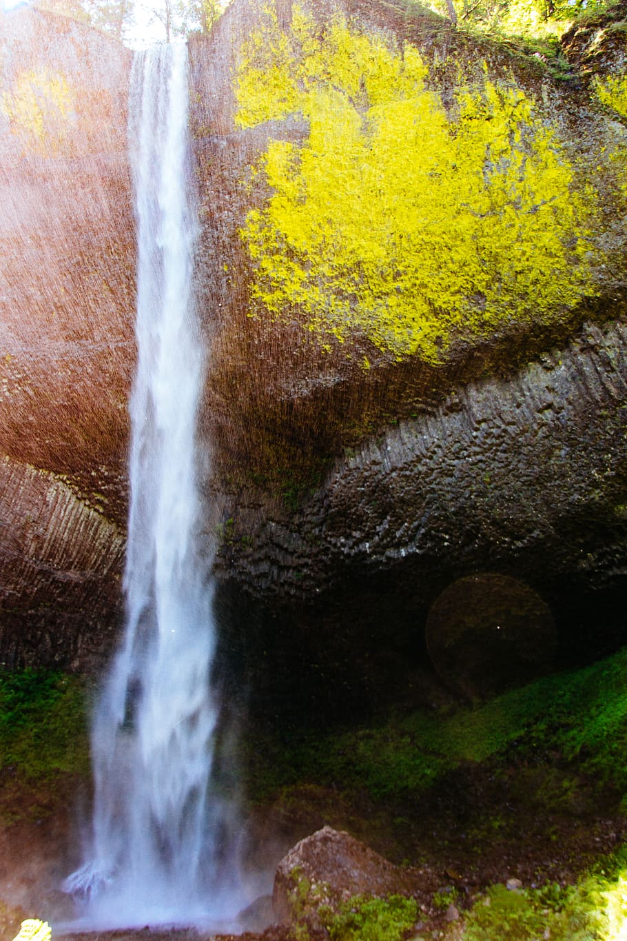 cascada durant el dia, aigua, a l'aire lliure, riu, naturalesa, cascada, Estats Units, cau latourell, rierol, molsa, llum, llum solar, verd, oregon, rock, basalt, cara, pedra, liquen, humit, exposició llarga, moviment, escenics - natura, aigua que flueix, bellesa a la natura, cap gent, moviment borrós, dia, poder, poder a la natura, escena no urbana, sòlid, bosc, esquitxades, que flueix, caient aigua, fumigació, rierol: aigua que flueix, 4K
