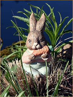 Pasqua, conill de Pasqua, llebre, figura, bonic, salutació de pasqua, tema de pasqua, animal, temes d'animals, un animal, planta, mamífer, herba, naturalesa, creixement, vertebrats, color verd, cap gent, terra, primer pla, camp, dia, mirant la càmera, mascotes, enfocament selectiu, full, part de la planta, bigotis, 4K, CC0, domini públic, lliure de regalies
