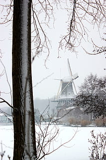 mulino a vento e albero, natura, all'aperto, la neve, inverno, kralingse plas, Rotterdam, tempo metereologico, bufera di neve, tempesta, Paesi Bassi, ghiaccio, acqua, barca, veicolo, mezzi di trasporto, Adoro Rotterdam, mulino a vento, parco, kralingsebos, temperatura fredda, albero, combustibile e produzione di energia, energia rinnovabile, turbina eolica, conservazione dell'ambiente, turbina, energia eolica, pianta, energia alternativa, giorno, ambiente, albero nudo, nessuno, ramo, cielo, 4K, CC0, dominio pubblico, privo di copyright