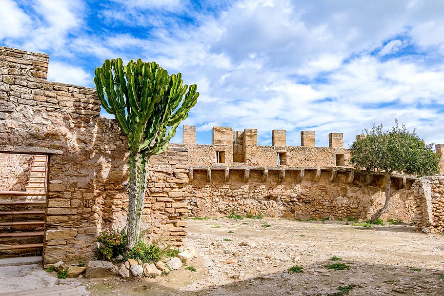 mallorca, capdepera, castell, arquitectura, antiguitat, vell, pedra, paret, llocs d'interès, turisme, viatjar, paret de pedra, pedres naturals, maçoneria, façana, edat mitjana, núvol - cel, estructura construïda, història, cel, antic, el passat, antiga ruïna, exterior de l'edifici, naturalesa, planta, dia, cap gent, civilització antiga, arqueologia, destinacions de viatge, aixafar, edifici, arruïnat, a l'aire lliure, deteriorament, columna arquitectònica, història antiga, 2K