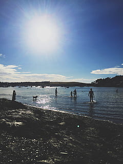 gruppo, persone, in piedi, sponde, retroilluminato, spiaggia, luce del giorno, luce, natura, oceano, mare, paesaggio marino, riva del mare, riva, cielo, sole, acqua, gruppo di persone, persone reali, terra, luce del sole, attività di svago, uomini, giorno, bellezza nella natura, stili di vita, folla, godimento, donne, riflesso lente, all'aperto, luminosa, 2K, CC0, dominio pubblico, privo di copyright