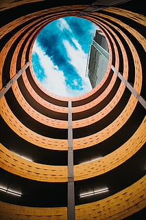 edificio in cemento marrone, scala, spirale, stati Uniti, Los Angeles, costruzione, cielo, urbano, città, architettura, all'aperto, cielo blu, posteggio, parcheggio, nube, grattacielo, design moderno, alzando lo sguardo, legna, labirinto, struttura costruita, nuvola - cielo, Inquadratura dal basso, nessuno, esterno dell'edificio, cerchio, forma geometrica, forma, natura, modello, giorno, curva, design, direttamente sotto, luce del sole, moderno, soffitto, architettura e arte, 5K, CC0, dominio pubblico, privo di copyright