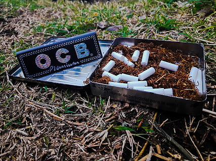 argentina, parana, field, land, day, plant, nature, high angle view, no people, outdoors, grass, dirt, container, growth, food, food and drink, box, abandoned, focus on foreground, close-up, freshness, wood - material, gardening, 4K, CC0, public domain, royalty free