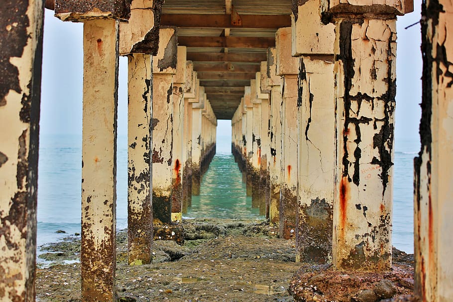 #rust, #bridge, #inception, aigua, mar, dia, estructura construïda, arquitectura, moll, platja, naturalesa, terra, material de fusta, cap gent, direcció, perspectiva decreixent, a l'aire lliure, el camí a seguir, llum solar, horitzó, cel, tranquil·litat, sota, 5K