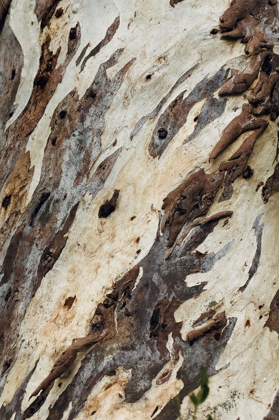 brun sten, fuld ramme, baggrunde, ingen mennesker, mønster, tekstureret, rock-objekt, klippe, solid, natur, træstamme, tæt på, træ, bagagerum, rock formation, ru, udendørs, fossil, dag, geologi, plante, tekstureret effekt, 4K