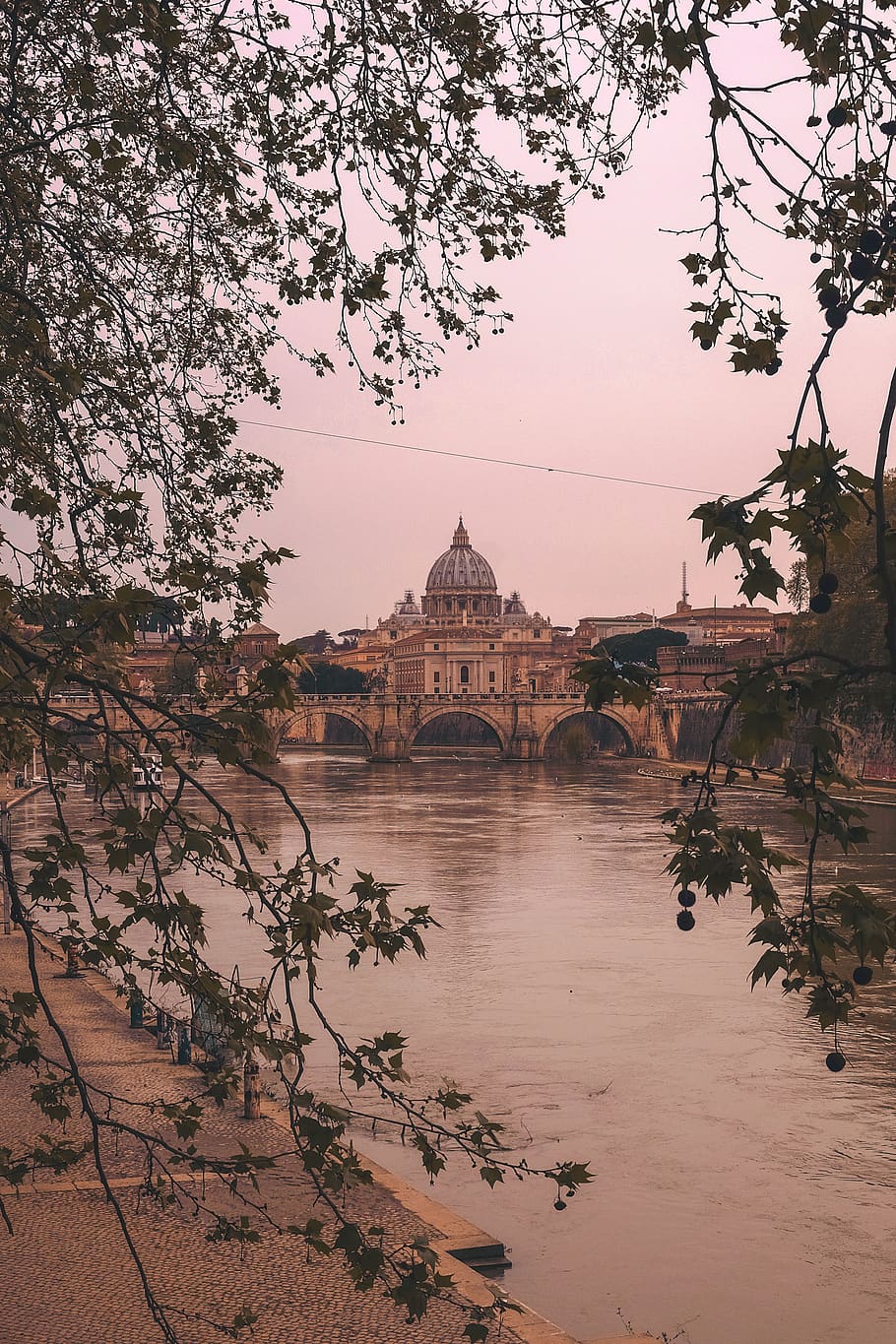 grå beton kuppel, oversvømmelse, natur, pattedyr, dyr, flagermus, dyreliv, Italien, træ, plante, bygning, lungotevere castello, Roma, flod, landskab, solnedgang, bro, solopgang, gradient, flora, udendørs, bygget struktur, arkitektur, vand, himmel, bygning udvendig, rejsemål, historie, fortiden, forbindelse, turisme, rejse, ingen mennesker, bro - menneskeskabt struktur, bue bro, 2K