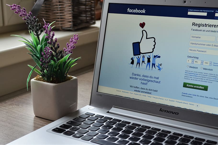 Foto, Laptop, Pflanze, verwischen, Nahansicht, Elektronik, Umgebung, Facebook, Fokus, Internet, Tastatur, Lavendel, Anmeldung, Monitor, tragbar, Bildschirm, sozialen Medien, Technologie, Kommunikation, Computer, kabellose Technologie, Tabelle, Topfpflanze, Blume, Verbindung, keine Leute, Text, drinnen, blühende Pflanze, Natur, westliche Schrift, Möbel, Gerätebildschirm, Zimmerpflanze, 2K
