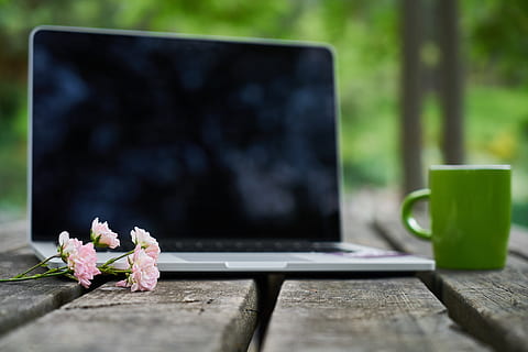 Technologie, Laptop, Computer, die Arbeit, Büro, Studie, Internet, Kaffee, modern, MacBook, Blogger, Blume, in der Natur, aus, Tabelle, Tasse, Tee, , kabellos, gemütlich, Entspannen Sie Sich, Autor, wunderschönen, Zusammensetzung, Holz - Material, Pflanze, blühende Pflanze, keine Leute, Frische, Nahansicht, selektiver Fokus, Tag, Natur, Stillleben, Essen und Trinken, Fokus auf den Vordergrund, Sitz, draußen, Becher, grüne Farbe, 5K, CC0, gemeinfrei, lizenzfrei