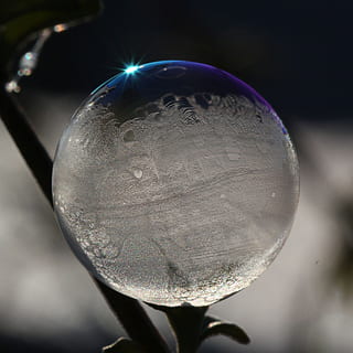 Seifenblase, Licht, Reflexion, schimmern, schwerelos, Nahansicht, Kugel, Fokus auf den Vordergrund, keine Leute, Natur, Pflanze, gestalten, Geometrische Figur, Verletzlichkeit, Schönheit in der Natur, draußen, Kreis, transparent, Zerbrechlichkeit, einzelnes Objekt, Tag, Wachstum, die Glühbirne, Kristallkugel, 2K, CC0, gemeinfrei, lizenzfrei