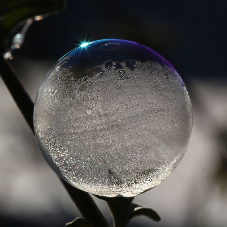 bombolla de sabó, llum, reflexió, brillar, sense pes, primer pla, esfera, centrar-se en primer pla, cap gent, naturalesa, planta, forma, forma geomètrica, vulnerabilitat, bellesa a la natura, a l'aire lliure, cercle, transparent, fragilitat, sol objecte, dia, creixement, bombeta, bola de vidre, 2K