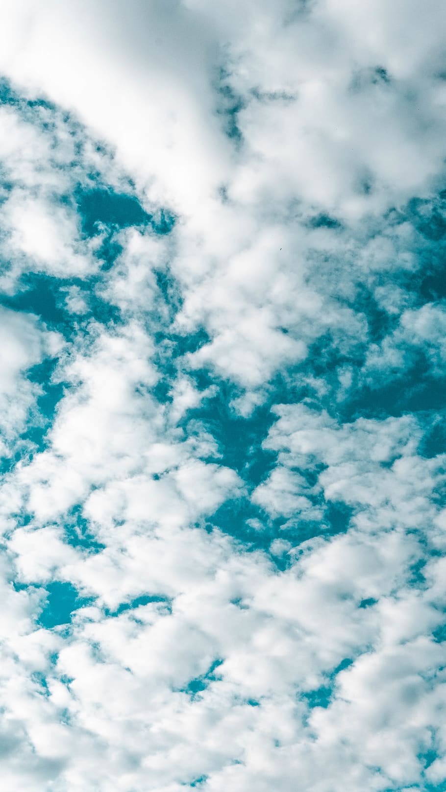 białe pochmurne niebo, niebo, Natura, lazurowe niebo, na dworze, Chmura, Włochy, Genua, chmury, dzień, słoneczny, niebieskie niebo, niebieski, pogoda, cumulus, słońce, horyzont, sceneria, noc, fioletowy, turkus, chmura - niebo, piękno natury, niski kąt widzenia, tła, pełna ramka, spokój, scenics - natura, biały kolor, żadnych ludzi, spokojna scena, idylliczny, cloudscape, puszysty, abstrakcyjny, miękkość, meteorologia, 5K