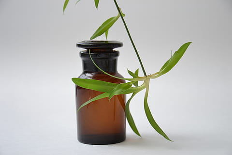 hijau, tanaman daun, putih, dinding, aromaterapi, botol, merapatkan, warna, wadah, kaca, botol kaca, pertumbuhan, tembakan studio, dalam ruangan, bagian tanaman, daun, warna hijau, sayur-mayur, latar belakang putih, tidak ada orang, menanam, makanan, makanan dan minuman, alam, masih hidup, kesegaran, makan sehat, kesejahteraan, memotong, 4K, CC0, domain publik, bebas royalti