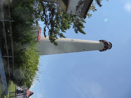 capo maggio, albero, pianta, cielo, natura, giorno, architettura, persone reali, una persona, all'aperto, luce del sole, Inquadratura dal basso, stili di vita, uomini, struttura costruita, bambino, attività di svago, infanzia, mezzi di trasporto, vista laterale, cannone, 4K, CC0, dominio pubblico, privo di copyright