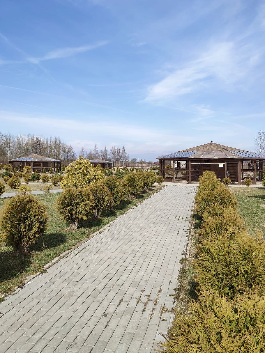 parco, primavera, alberi, cielo, calore, piante, architettura, struttura costruita, pianta, esterno dell'edificio, natura, direzione, giorno, albero, sentiero, la strada davanti, costruzione, nuvola - cielo, nessuno, terra, luce del sole, erba, all'aperto, legno - materiale, Casa, 2K