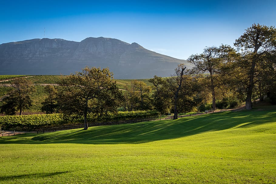 camp d’herba verda, camp, a l'aire lliure, curs de golf, planta, herba, pastures, naturalesa, activitats de lleure, aventura, gespa, pendent, desert, vila, edifici, casa, habitatge, promontori, granja, prat, arbre, bellesa a la natura, color verd, cel, muntanya, escenics - natura, creixement, tranquil·litat, golf, dia, escena tranquil·la, paisatge, medi ambient, cap gent, llum solar, terra, 5K