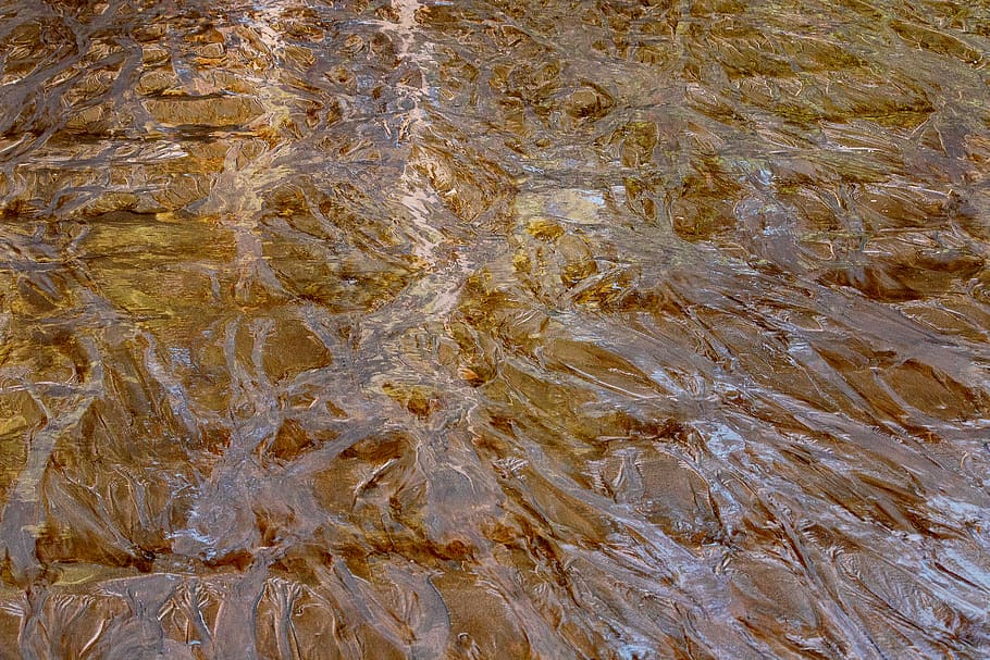 fons, patró, textura, naturalesa, paret, pis, brut, superfície, sorra mullada, reflux, platja, humit, abfliessend, estructura, zona, Tailàndia, textura de fons, format de paisatge, color, ombra lleugera, marc complet, cap gent, aigua, davant del mar, dia, a l'aire lliure, marbre, sòlid, bellesa a la natura, rock, vista d’angle alt, rock - object, primer pla, mar, patró natural, 5K