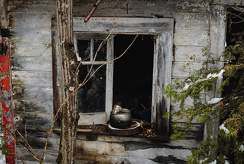 finestra, rustico, abbandonato, pentola, vecchio, costruzione, struttura, edificio abbandonato, struttura costruita, architettura, esterno dell'edificio, giorno, nessuno, pianta, Casa, danneggiato, obsoleto, legno - materiale, all'aperto, intemperie, albero, declino, Entrata, natura, deterioramento, 2K, CC0, dominio pubblico, privo di copyright