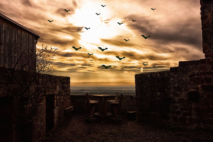 posta de sol, panorama, vespre, llum, alba, tarda, arquitectura, cel, casa, sol, naturalesa, paisatge, schönwetter, foscor, ratpenats, estiu, núvol, atmosfèric, primavera, castell, ruïna, cel de la nit, humor, Photoshop, escènic, llums, cel cobert, brillant, místic, misteriosament, fantasmal, fantasma, atmosfera, bruixeria, color, màgia, fantasia, vermell, estrella, núvol - cel, vertebrats, ocell, temes d'animals, grup d’animals, animal, animals a la natura, estructura construïda, gran grup d’animals, volant, fauna animal, exterior de l'edifici, cap gent, ramat d’ocells, història, mar, a l'aire lliure, 4K