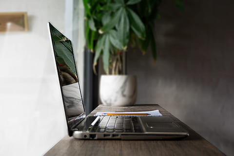 spento, grigio, computer portatile, tavolo, il computer portatile, in casa, tecnologia, computer, nessuno, tecnologia wireless, connessione, avvicinamento, comunicazione, concentrarsi sulle conoscenze acquisite, pianta, pianta in vaso, colore verde, giorno, natura, tavoletta digitale, foglia, 5K, CC0, dominio pubblico, privo di copyright