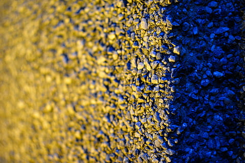leve, sombra, textura, Rocha, parede, umbra, reflexivo, material, amarelo, ninguém, quadro completo, fechar-se, plantar, origens, foco seletivo, crescimento, texturizado, dia, natureza, padronizar, beleza na natureza, planta com flores, líquen, flor, azul, musgo, ao ar livre, frescura, 5K, CC0, domínio público, royalty free