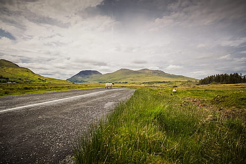 tom, vej, græs, Irland, grusvej, grus, landskab, Mark, udendørs, græsarealer, connemara loop, natur, blacktop, dyr, grøn, bjerg, får, frodig, gade, overfart, storm, himmel, transportmidler, sky - himmel, miljø, plante, ingen mennesker, jord, vejen frem, scenics - natur, retning, rolig scene, skønhed i naturen, ikke-urbane scene, ro, grøn farve, bjergkæde, 5K, CC0, offentligt domæne, royaltyfrie