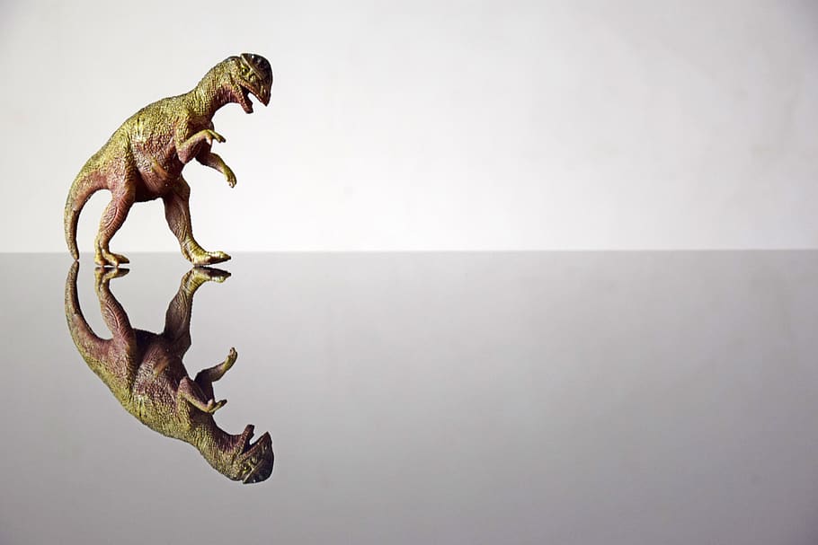 dinosauro, modello, sfondo, riflessione, creativo, design, spazio, scrivania, tavolo, decorazione, arte, decorativo, ornamento, ornamentale, artistico, arredamento, stile, animale, copia spazio, temi animali, in casa, nessuno, rappresentazione animale, estinto, rettile, un animale, girato in studio, vista laterale, fauna selvatica, lunghezza intera, rappresentazione, sfondo bianco, lucertola, singolo oggetto, camaleonte, segnale di pericolo, bocca aperta, 5K