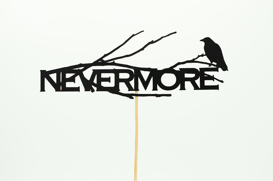 Niemals mehr Logo, Text, Kommunikation, keine Leute, Tier, Tierthemen, Vogel, Wirbeltier, Zeichen, Flachwinkelansicht, kopieren sie platz, Beratung, Richtung, westliche Schrift, hocken, Tierwelt, Himmel, klarer Himmel, Großbuchstabe, Natur, Silhouette, 5K