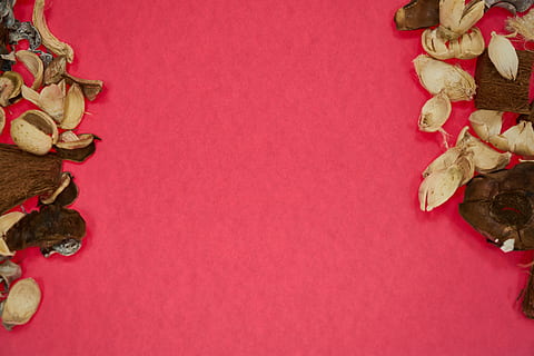 fons, pàgina, taula, nota, treballar, escriure, quadern, curs, flor, decoració, espai, geomètric, flors, oficina, color, paper, a l'interior, còpia espai, vista d’angle alt, cap gent, natura morta, vermell, directament a sobre, gran grup d'objectes, fons de colors, tir de l'estudi, variació, frescor, primer pla, elecció, menjar i beguda, part de la planta, full, menjar, creativitat, fulles, 5K, CC0, domini públic, lliure de regalies
