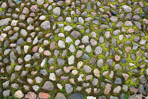 struttura, pietra, terra, roccia, piastrelle, all'aperto, strada, sentiero, superficie, avvicinamento, ciottolo, pavimentazione, ruvido, marciapiede, accidentato, pavimentata, grigio, forma, bloccare, Materiale, fotogramma intero, sfondi, giorno, nessuno, abbondanza, vista dall'alto, natura, pianta, modello, crescita, preparativi, grande gruppo di oggetti, ripetizione, solido, bellezza nella natura, colore verde, strutturato, luce del sole, 2K, CC0, dominio pubblico, privo di copyright