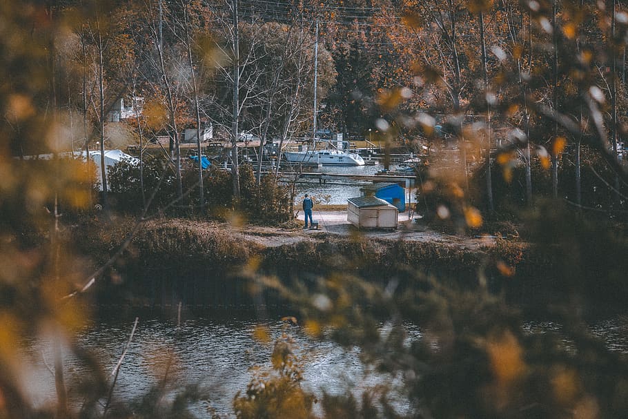 Canada, Goderich, Barche, alberi, in attesa, autunno, acqua, pianta, modo di trasporto, albero, natura, mezzi di trasporto, riflessione, nessuno, giorno, lago, nave nautica, lungomare, all'aperto, albero nudo, bellezza nella natura, la tranquillità, architettura, struttura costruita, modificare, 5K