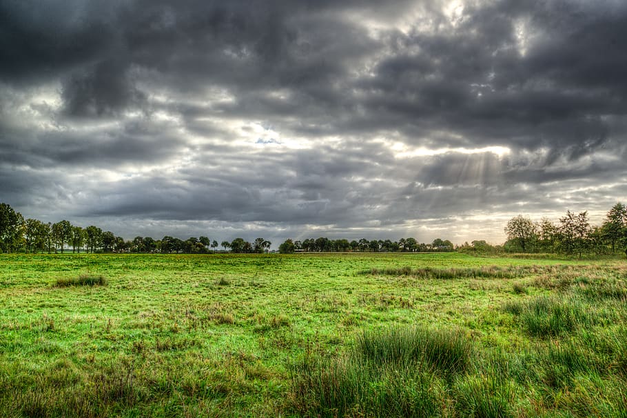 verd, camp de gespa, cloudformation, núvols, ennuvolat, núvols foscos, granja, camp, herba, paisatge, llum, naturalesa, escena, escènic, temporada, cel, raigs solars, arbres, temps, núvol - cel, planta, medi ambient, tranquil·litat, arbre, escenics - natura, bellesa a la natura, escena tranquil·la, terra, color verd, cap gent, núvol, tempesta, escena no urbana, a l'aire lliure, ominós, 5K