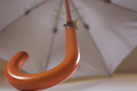 paraguas, nadie, de cerca, adentro, temas de animales, animal, un animal, centrarse en primer plano, enfoque selectivo, serpiente, reptil, colgando, foto de estudio, fauna animal, material de madera, señal de advertencia, día, vertebrado, firmar, parte del cuerpo del animal, en el borde de, 2K