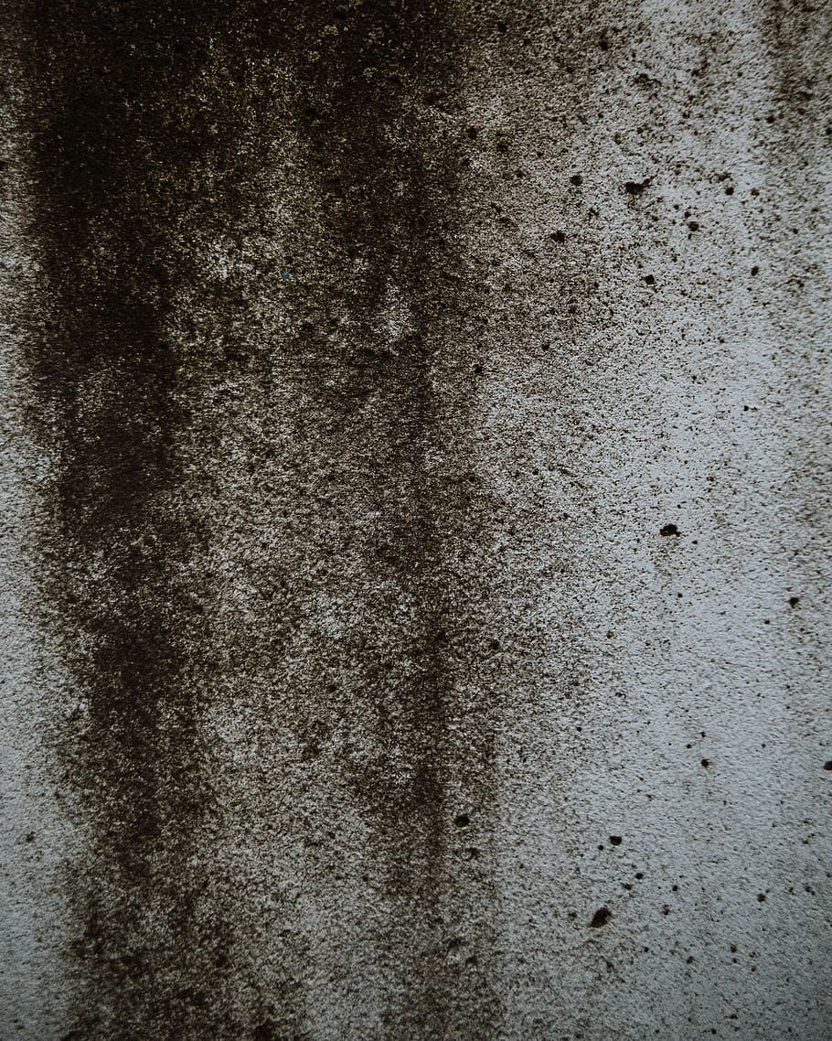 grå, sort, hvid, skimmel, plettet, struktur, væg, type, tekst, grunge, by-, ru, gade, tekstureret, baggrunde, murbygningsfunktion, fuld ramme, arkitektur, gammel, ingen mennesker, bygget struktur, mønster, tæt på, beton, snavset, smuds, forvitret, betonvæg, farves, abstrakt, mørk, tekstureret effekt, forringelse, abstrakte baggrunde, 4K