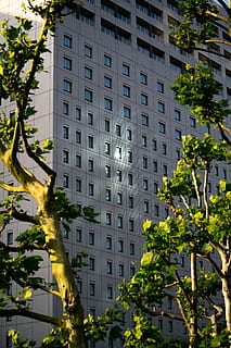 tokyo, Giappone, riflessione, geometria, costruzione, tramonto, luce del sole, città, albero, esterno dell'edificio, architettura, struttura costruita, pianta, natura, quartiere residenziale, nessuno, all'aperto, finestra, giorno, colore verde, vita di città, attività commerciale, crescita, edificio per uffici esterno, Hotel, appartamento, 5K, CC0, dominio pubblico, privo di copyright
