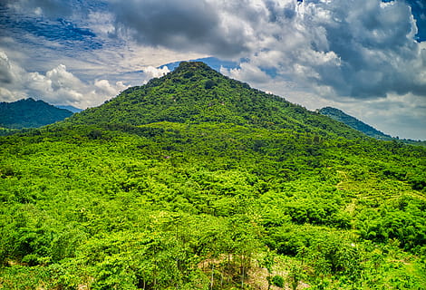 photo, trees, mountain, clouds, cloudy, daylight, environment, flora, forest, growth, hill, landscape, nature, plantation, sky, tropical, valley, woods, cloud - sky, green color, beauty in nature, plant, tranquility, scenics - nature, tranquil scene, tree, no people, idyllic, non-urban scene, day, land, lush foliage, outdoors, mountain peak, 5K, CC0, public domain, royalty free