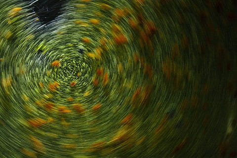 abstract, fundal, textură, frumos, model, detaliu, macro, colorate, culoare, circular, expunere lungă, verde, concentric, fundaluri, mişcare, cerc, cadru complet, filare, natură, nici o persoana, geometrică, mișcare încețoșată, formă, spaţiu, noapte, apă, Culoarea verde, spirală, plantă, astronomie, 4K, CC0, domeniu public, fără drepturi de autor