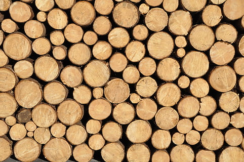 hromada, Pozadí, mnoho, textura, kmen, les, holzstapel, hromadu dřeva, log, celý rám, dřevo, palivové dříví, dřevařský průmysl, velká skupina objektů, hojnost, dřevo - materiál, odlesňování, zásobník, nikdo, strom, paliva a energie, vzor, halda, Příroda, hnědý, venku, sekaný, 4K, CC0, veřejná doména, bez autorských práv