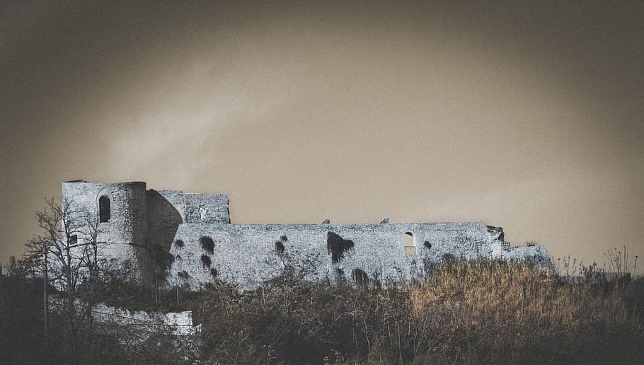 castell, maons, arquitectura, maó, construcció, vell, paret, històricament, estructura, historiador, fortalesa, pedra, maçoneria, façana, història, antic, pedres, edat mitjana, estructura construïda, exterior de l'edifici, el passat, cel, antiga ruïna, edifici, naturalesa, cap gent, fort, planta, abandonat, arbre, dia, destinacions de viatge, a l'aire lliure, arruïnat, paret de pedra, 4K