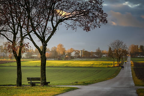 riposo, nuvole, albero, banca, prato, i campi, lontano, abendstimmung, paesaggio, idilliaco, tranquillo, calmo, ancora, erba, natura, umore, crepuscolo, atmosferico, pianta, cielo, bellezza nella natura, la tranquillità, scenics - natura, nessuno, nuvola - cielo, scena tranquilla, parco, albero nudo, sentiero, strada, parco - spazio creato dall'uomo, la strada davanti, crescita, ramo, mezzi di trasporto, all'aperto, treelined, 5K, CC0, dominio pubblico, privo di copyright